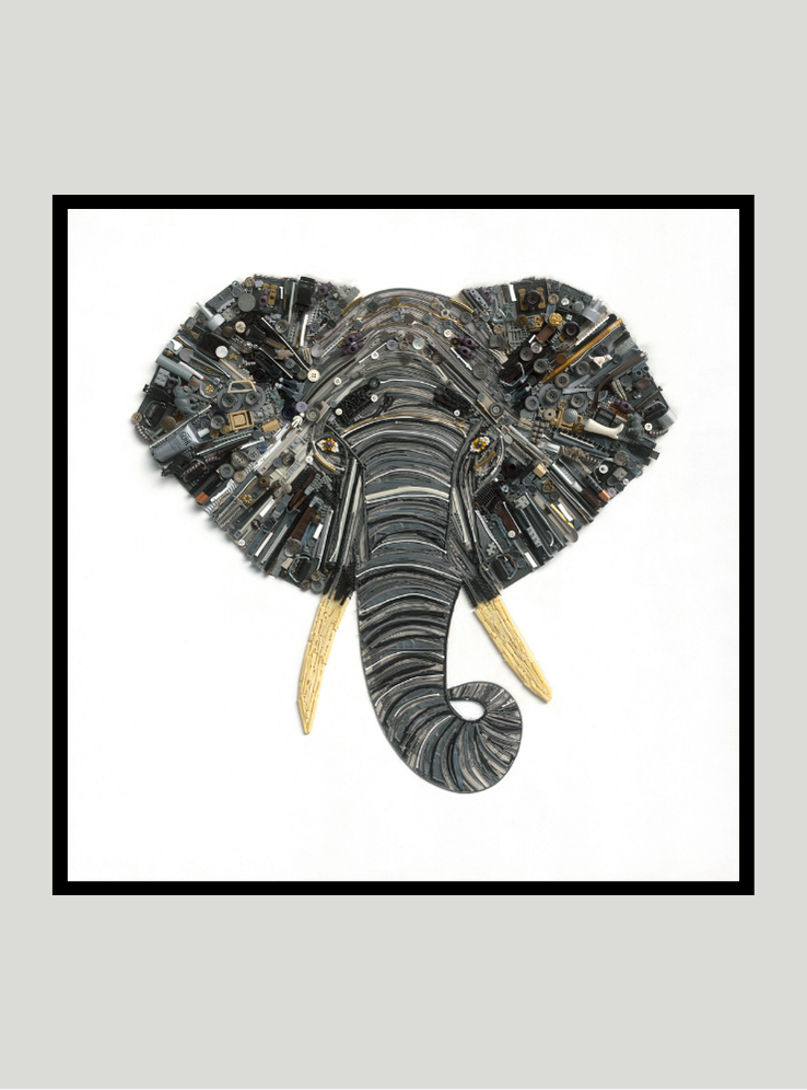 The Elephant - Limited & Open editions