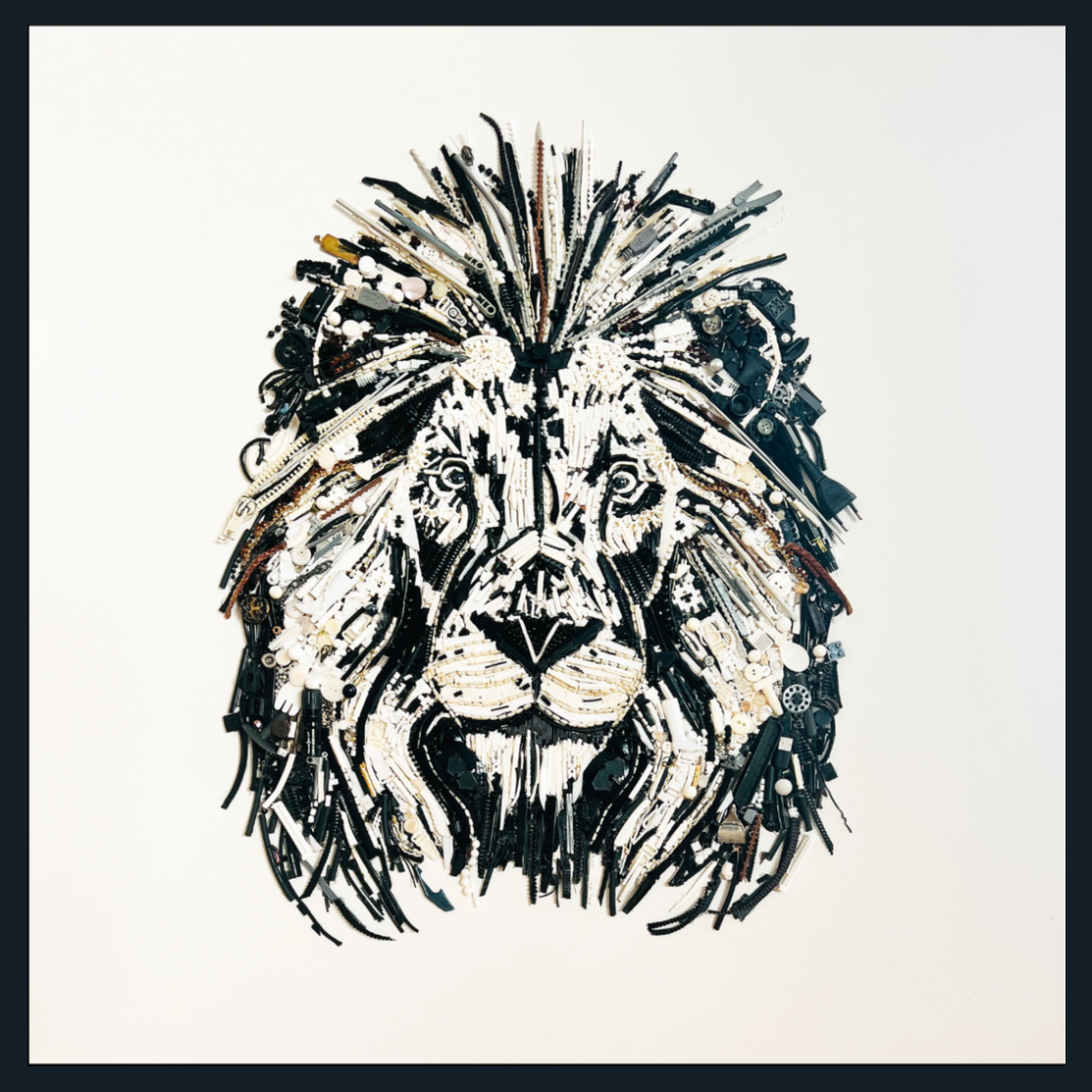The Lion - Limited & Open editions