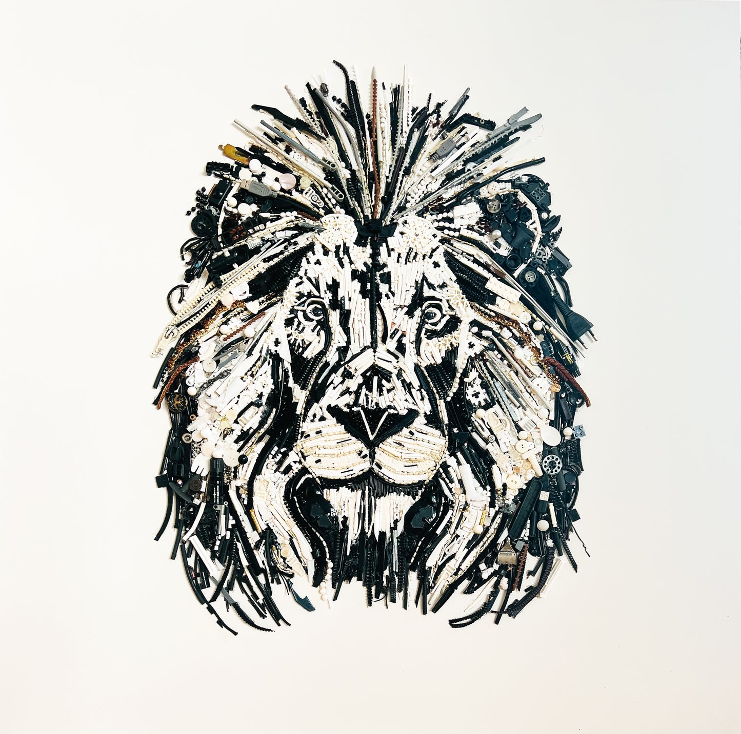 The Lion - Limited & Open editions
